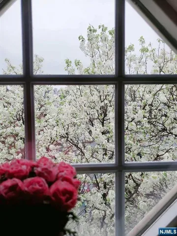 a view of a large tree