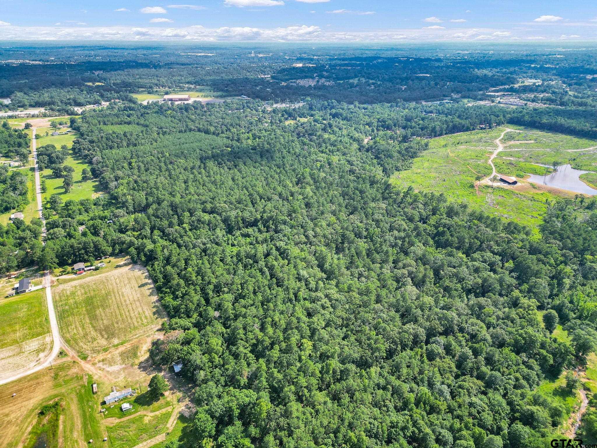 10114 C R 272 Tyler, TX 75702 - Photo 12 of 36 a view of a lake with a city