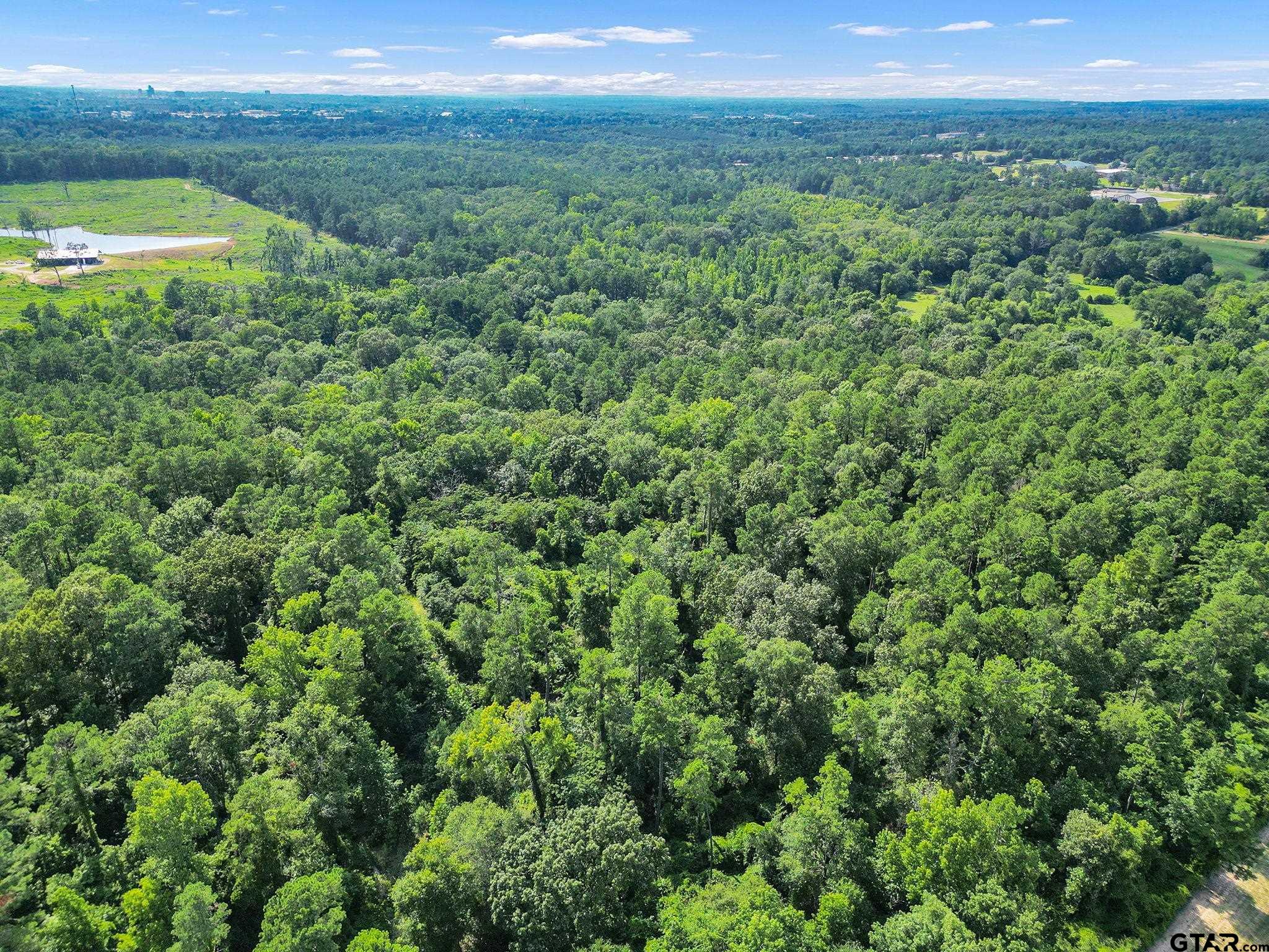 10114 C R 272 Tyler, TX 75702 - Photo 13 of 36 a view of a field with an ocean