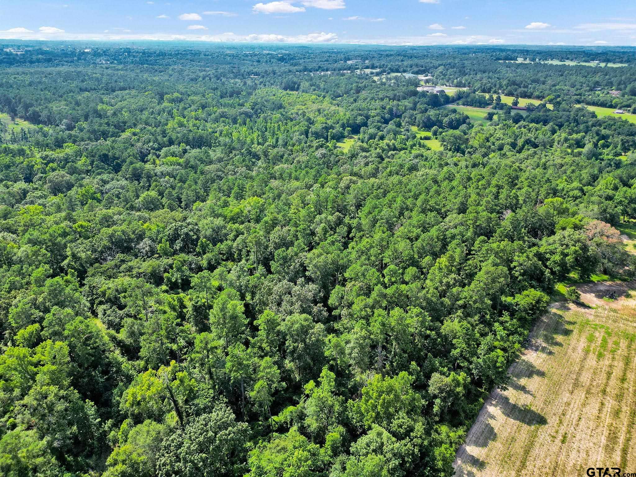 10114 C R 272 Tyler, TX 75702 - Photo 14 of 36 a view of a lush green forest with trees and houses