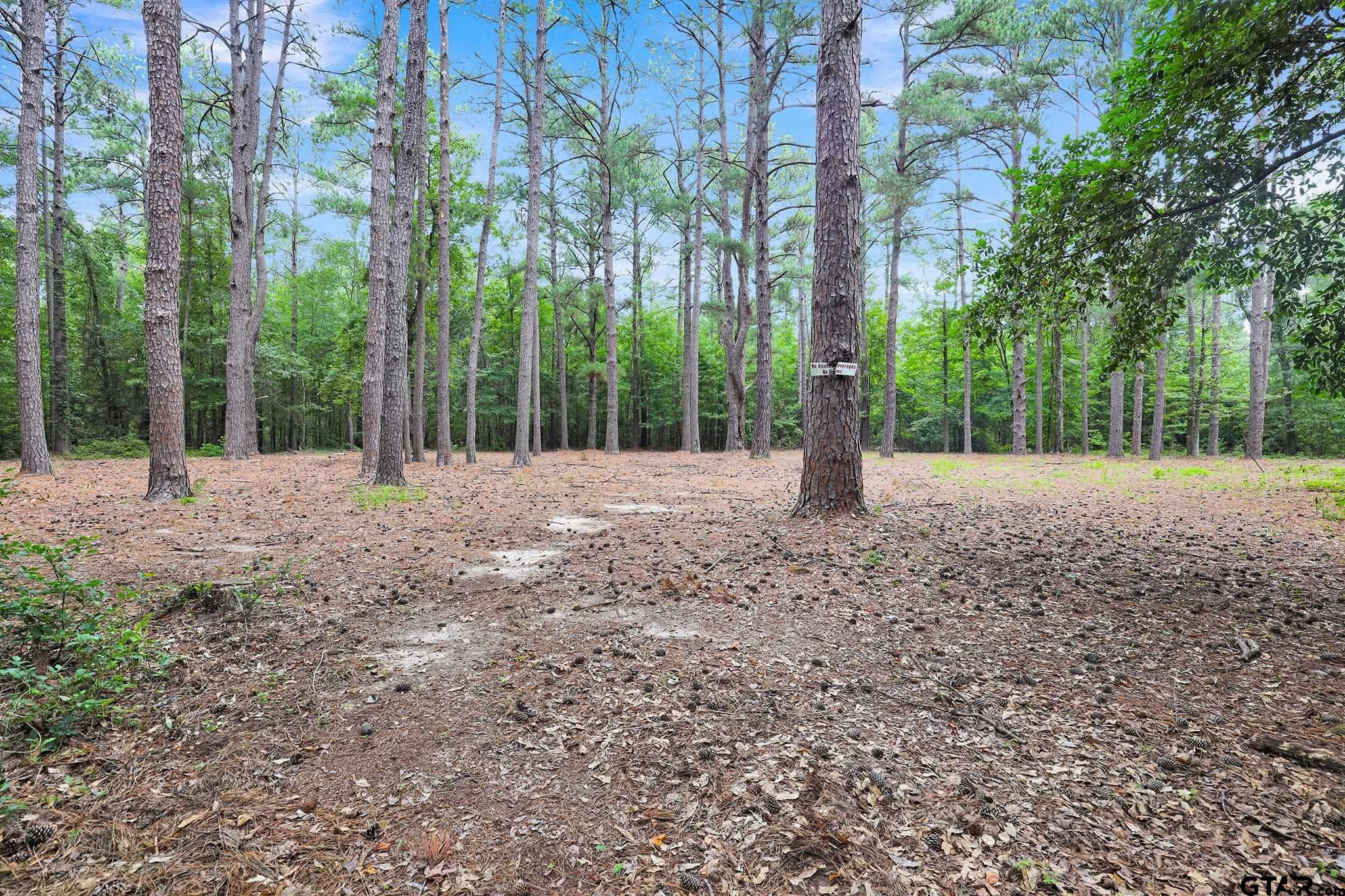 10114 C R 272 Tyler, TX 75702 - Photo 19 of 36