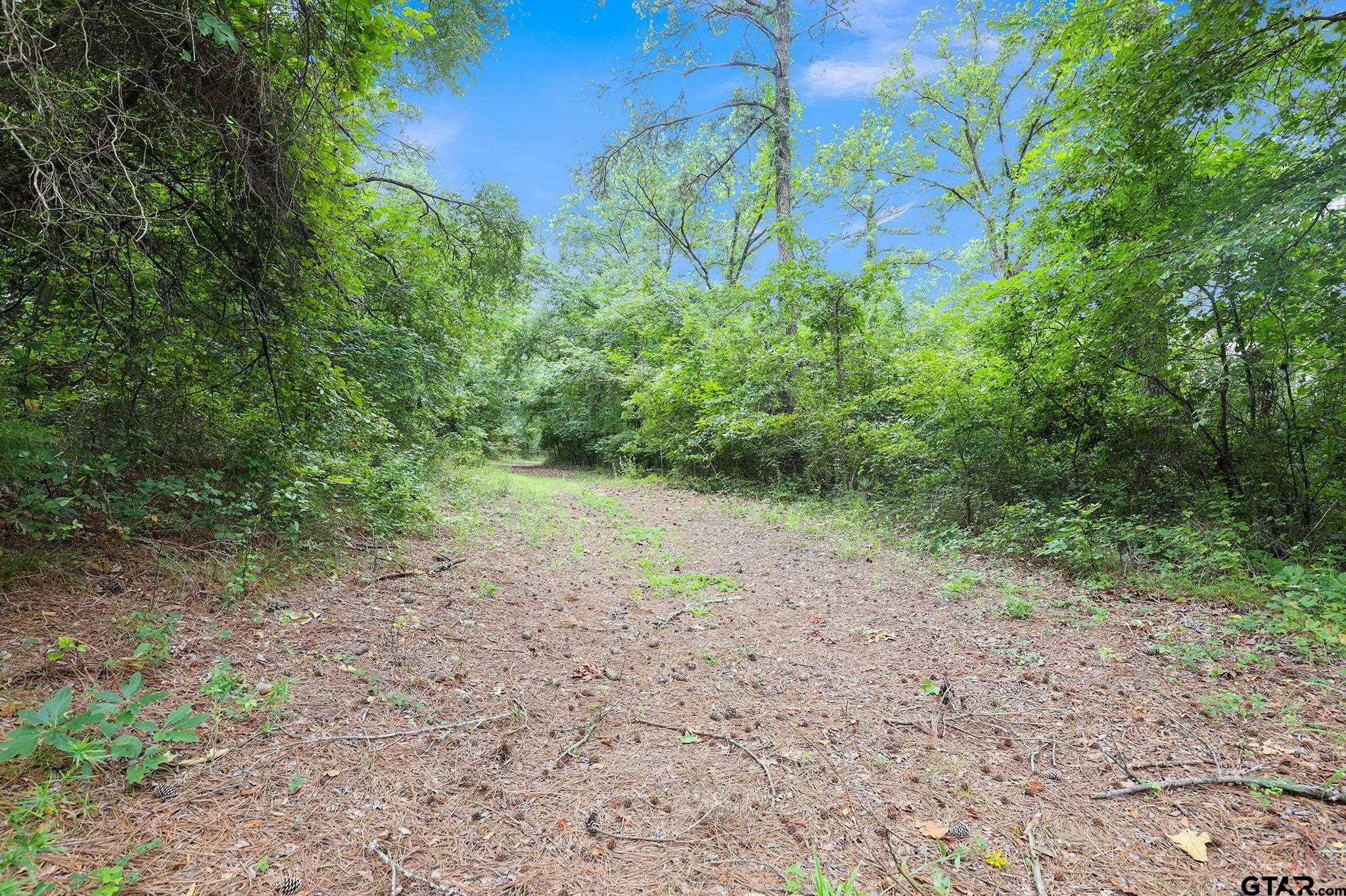 10114 C R 272 Tyler, TX 75702 - Photo 20 of 36 a view of a yard with a tree