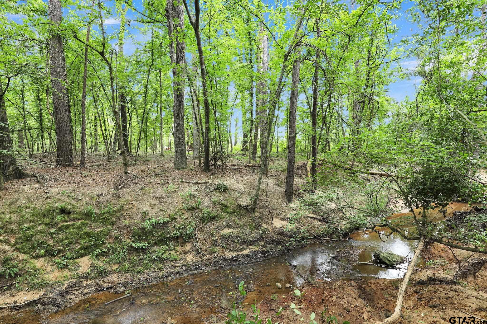 10114 C R 272 Tyler, TX 75702 - Photo 23 of 36 a big yard with lots of green space and trees
