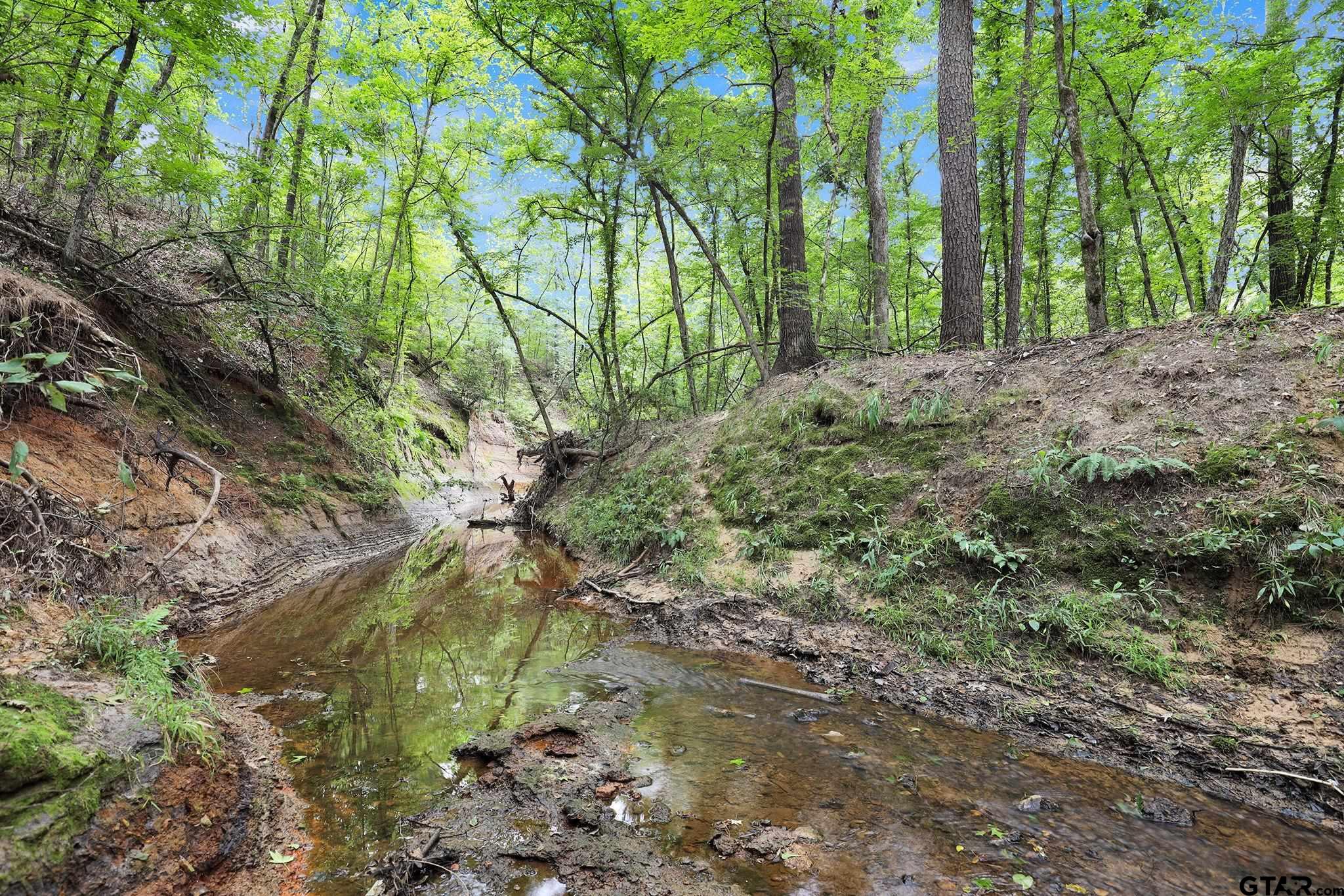 10114 C R 272 Tyler, TX 75702 - Photo 24 of 36 a big yard with lots of green space and trees