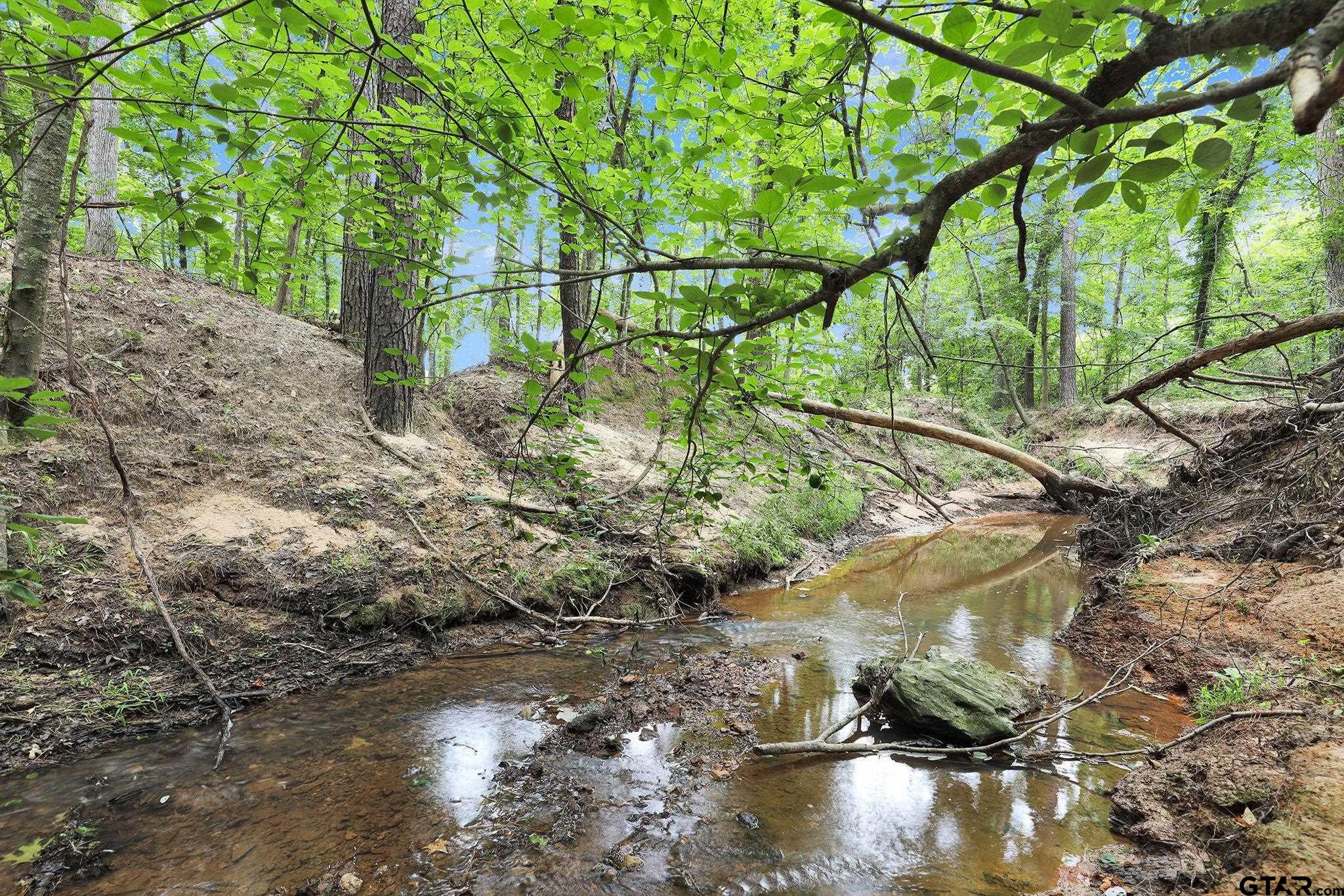 10114 C R 272 Tyler, TX 75702 - Photo 25 of 36 a backyard of a house with a yard and large trees