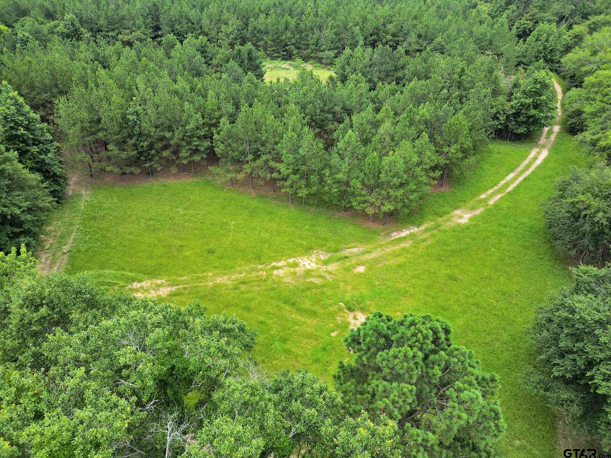 10114 C R 272 Tyler, TX 75702 - Photo 29 of 36 a view of yard with green space