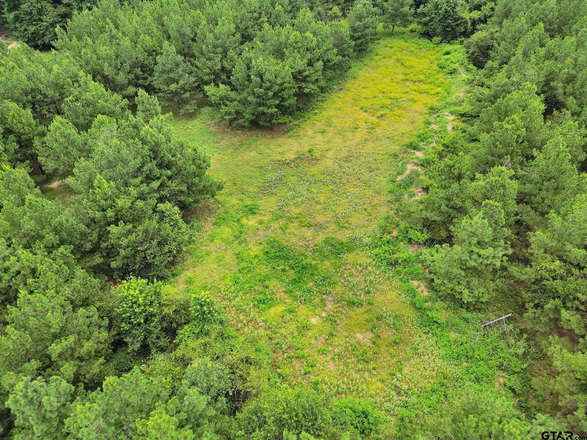 10114 C R 272 Tyler, TX 75702 - Photo 30 of 36 a view of a big yard with large trees