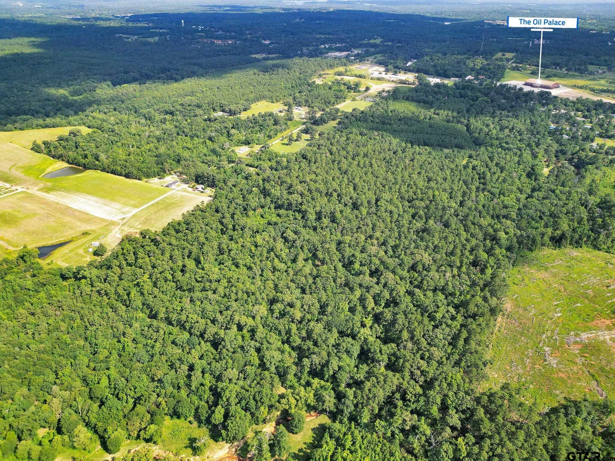 10114 C R 272 Tyler, TX 75702 - Photo 31 of 36 a view of a back yard