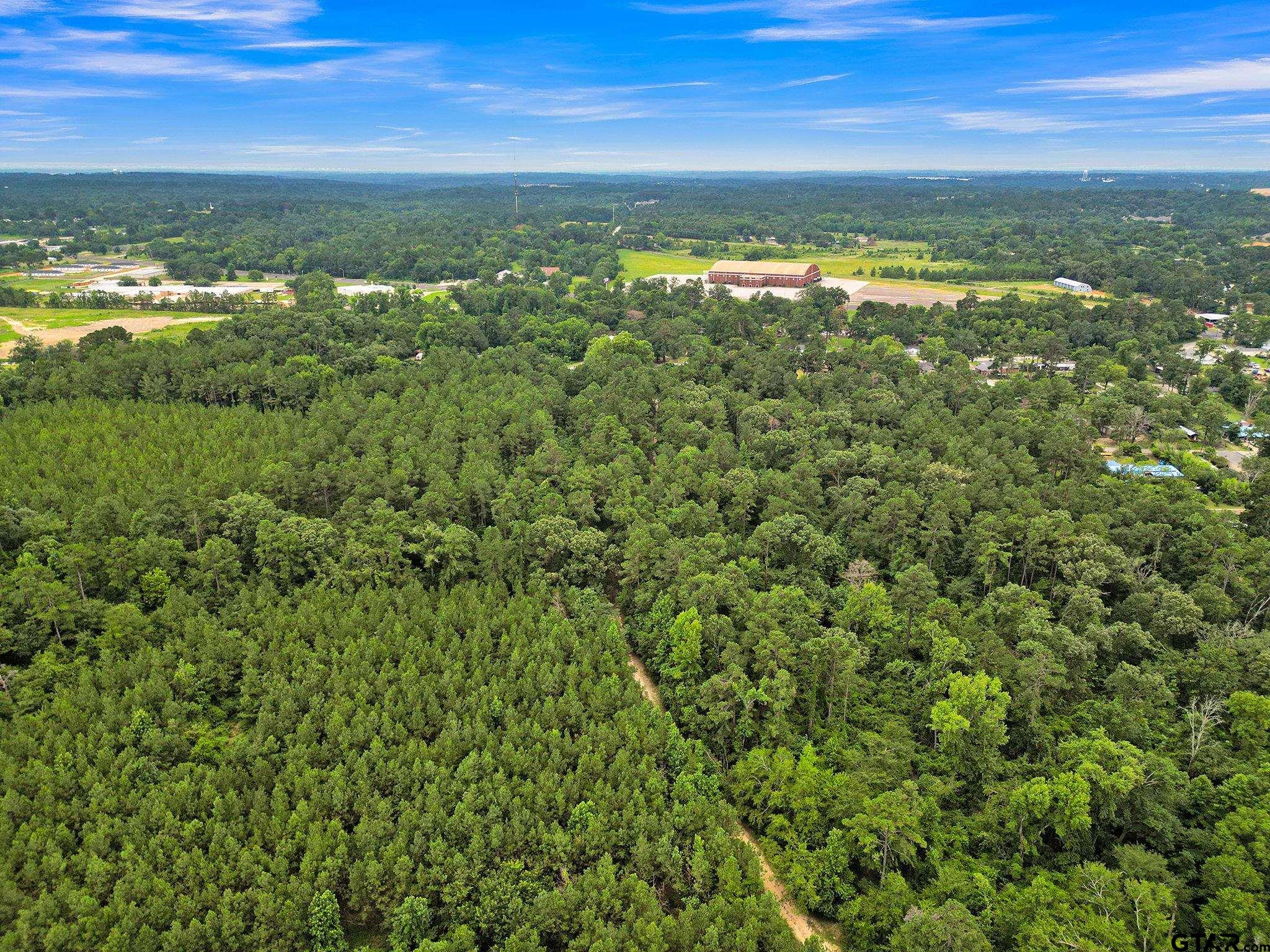 10114 C R 272 Tyler, TX 75702 - Photo 32 of 36 a view of a city with an ocean