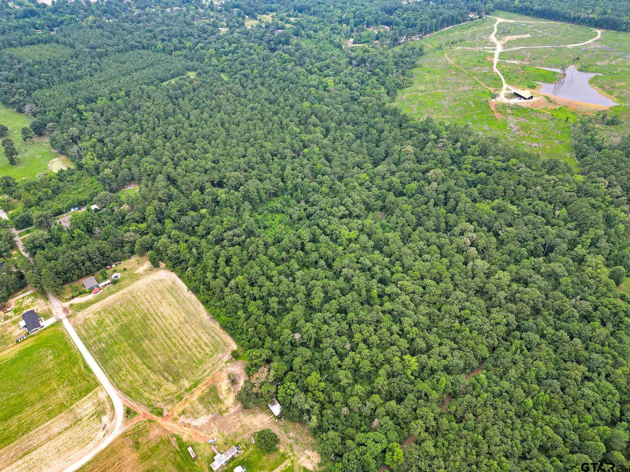 10114 C R 272 Tyler, TX 75702 - Photo 33 of 36 a view of a yard