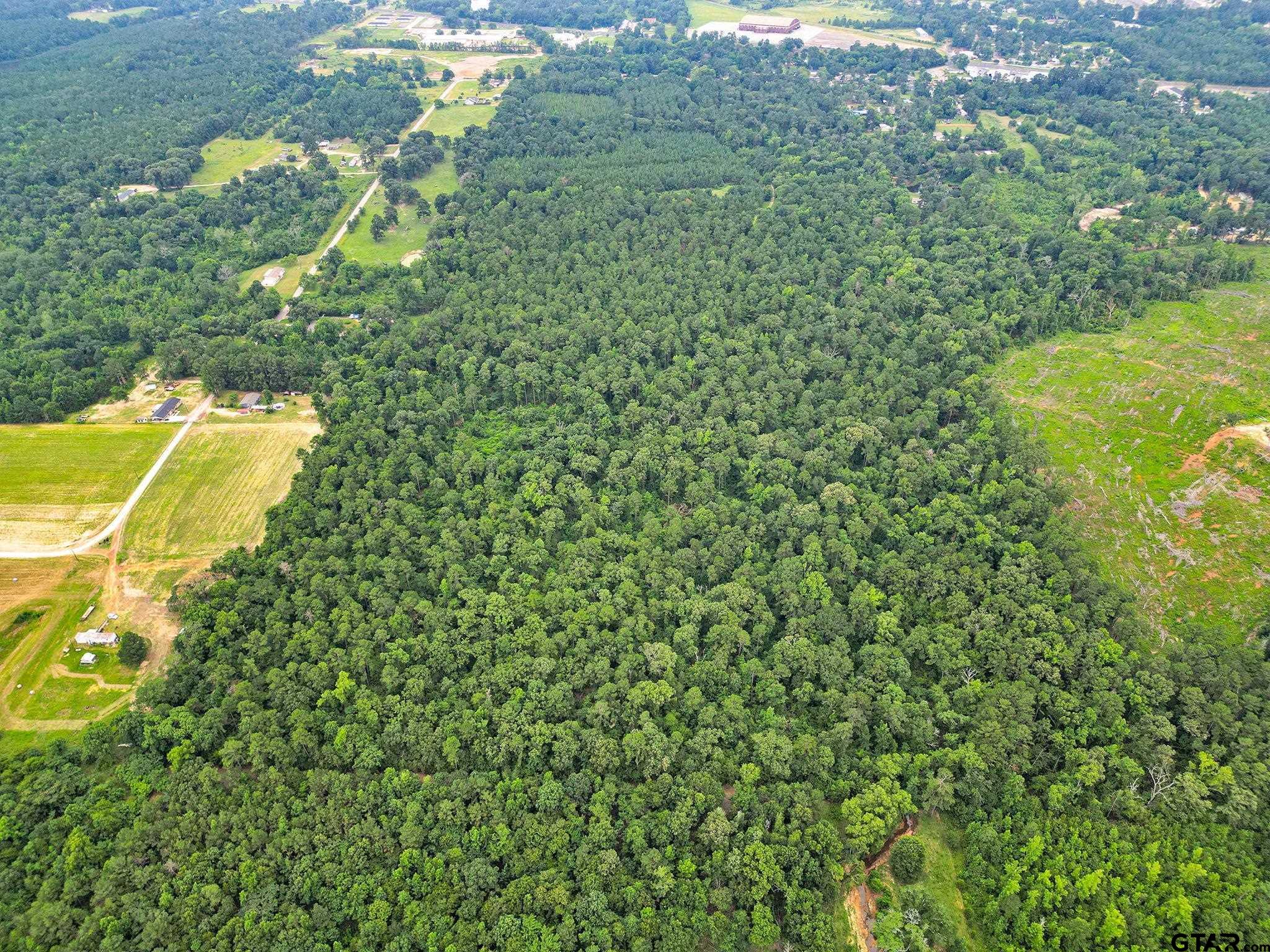 10114 C R 272 Tyler, TX 75702 - Photo 34 of 36 a view of a yard