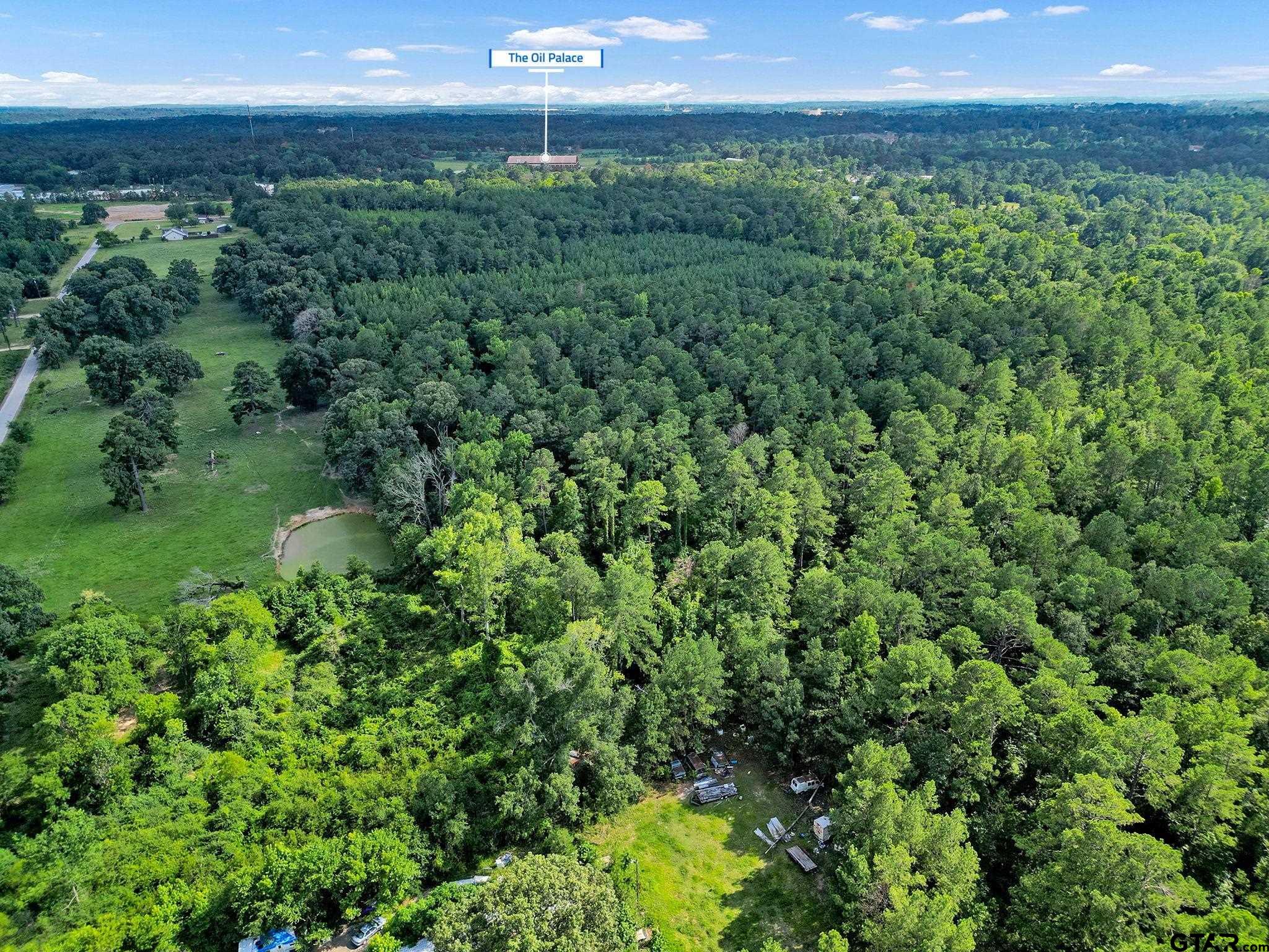 10114 C R 272 Tyler, TX 75702 - Photo 36 of 36 a view of a yard