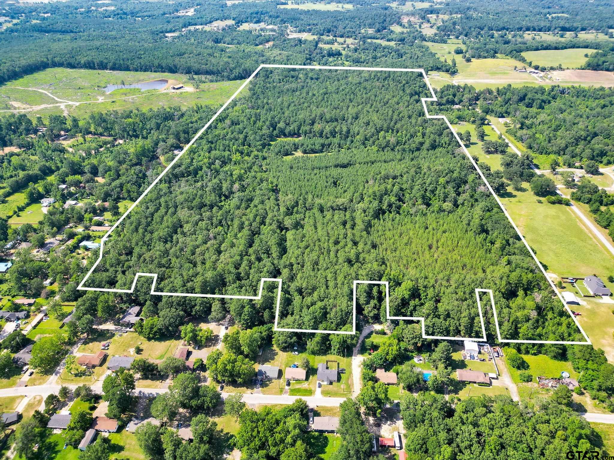 10114 C R 272 Tyler, TX 75702 - Photo 5 of 36 a view of a garden