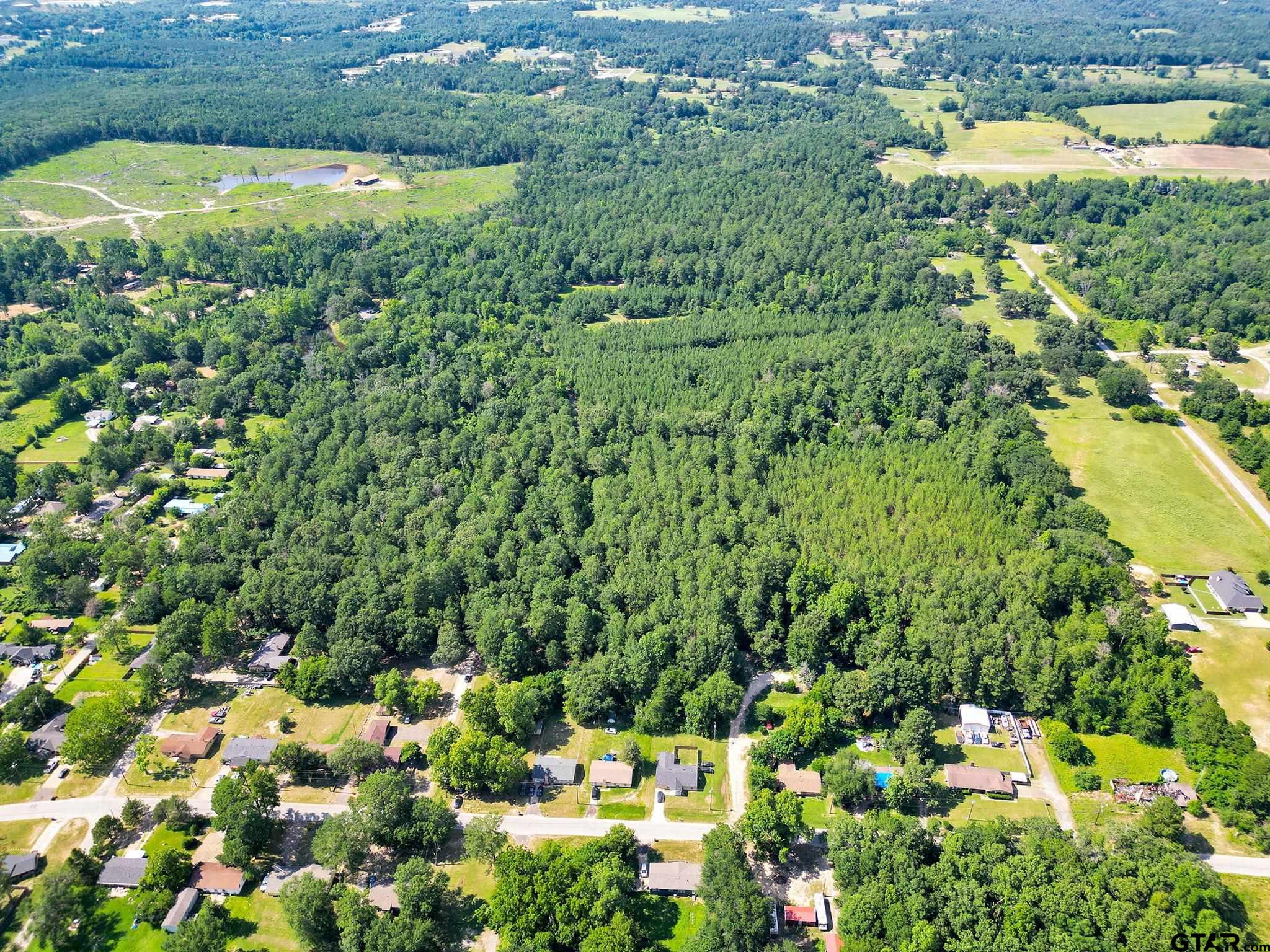 10114 C R 272 Tyler, TX 75702 - Photo 6 of 36 a view of a lake with a house