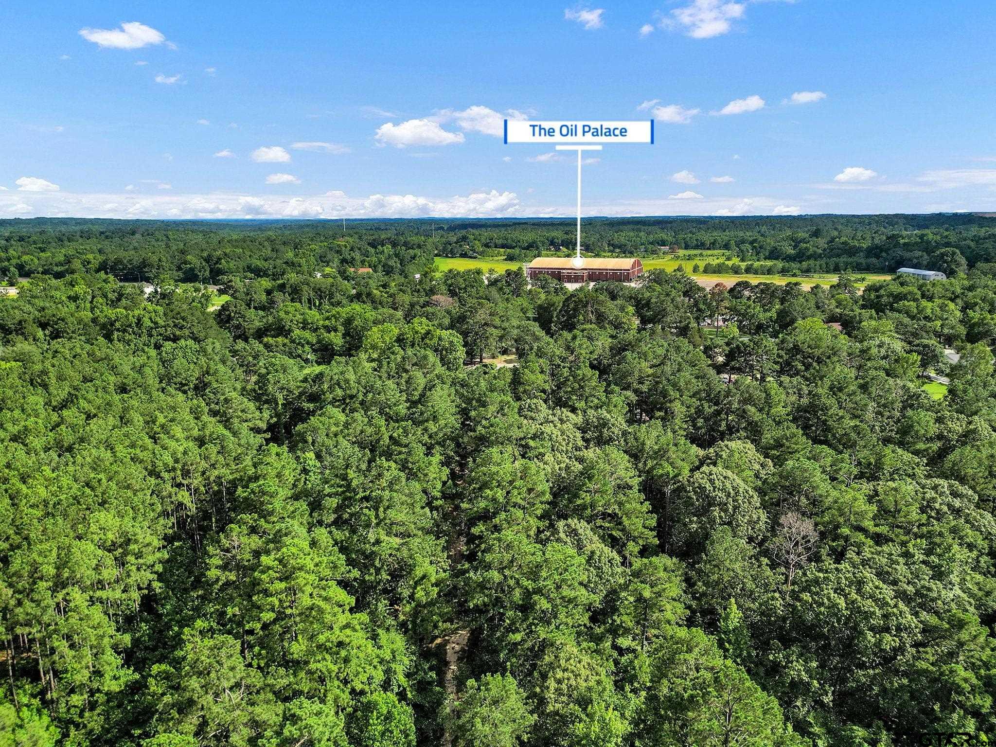 10114 C R 272 Tyler, TX 75702 - Photo 9 of 36 a view of a outdoor space and a yard