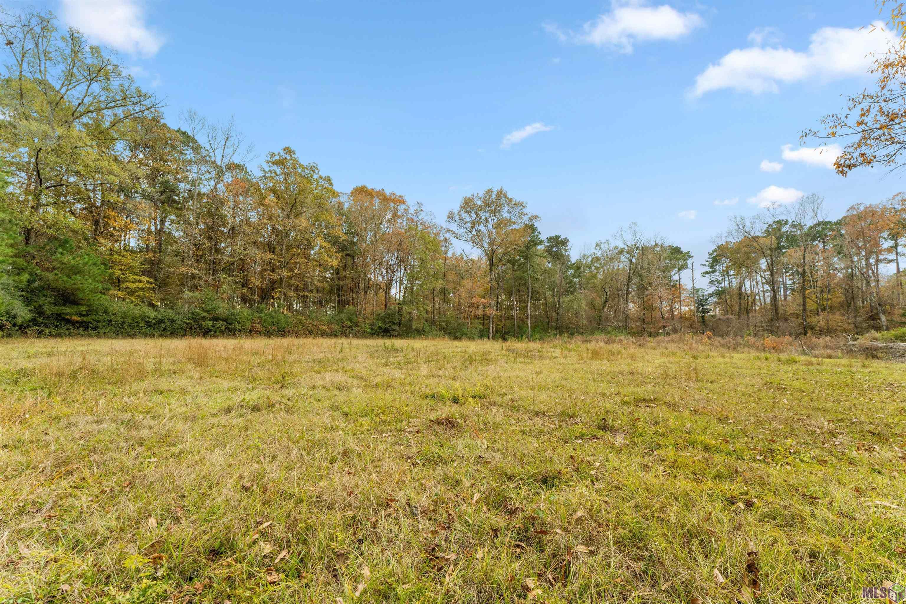 5498 Old Liberty Road North Clinton, LA 70722 - Photo 13 of 21