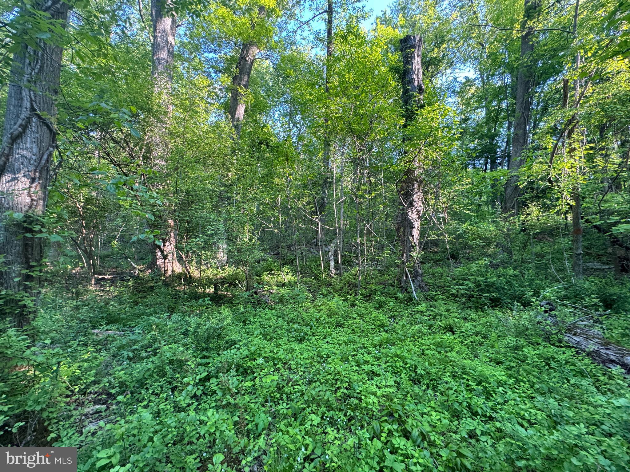 Edgemont Road Frederick, MD 21702 - Photo 5 of 6