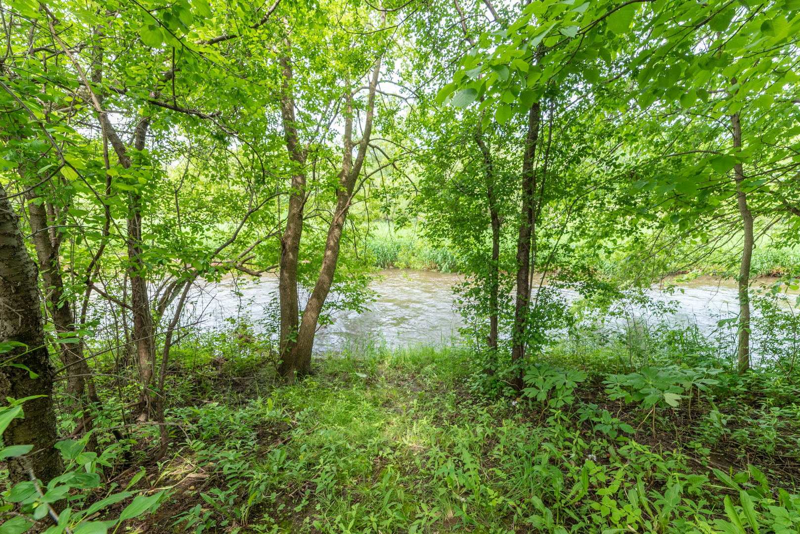 350 Chaparral Circle Elgin, IL 60120 - Photo 27 of 28 a backyard of a house with lots of green space