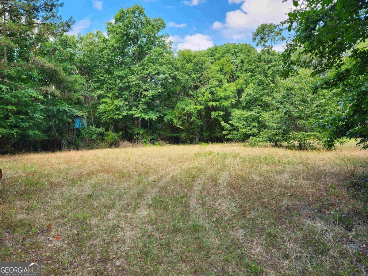 145 South Sugar Creek Road Eatonton, GA 31024 - Photo 11 of 12 a view of yard with green space