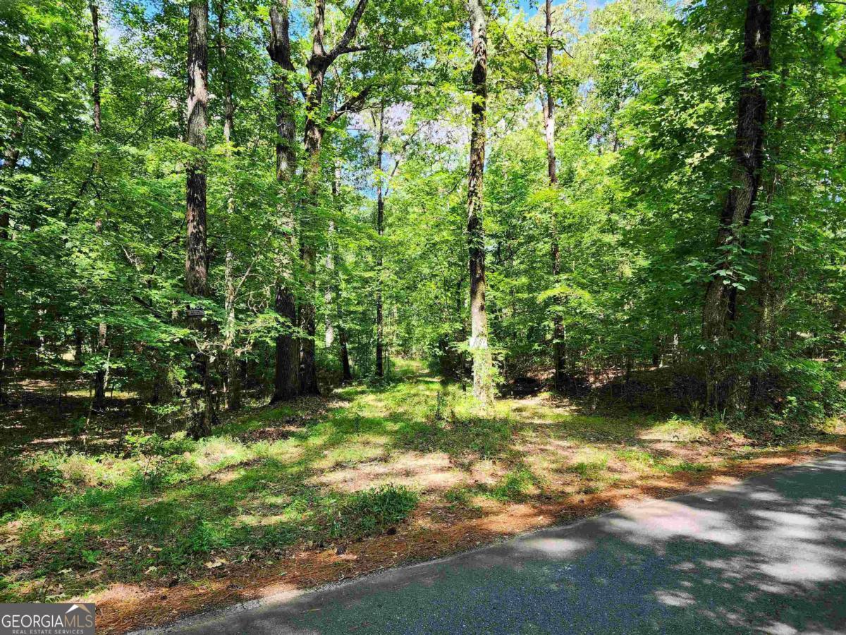 145 South Sugar Creek Road Eatonton, GA 31024 - Photo 2 of 12 a view of a backyard of a house