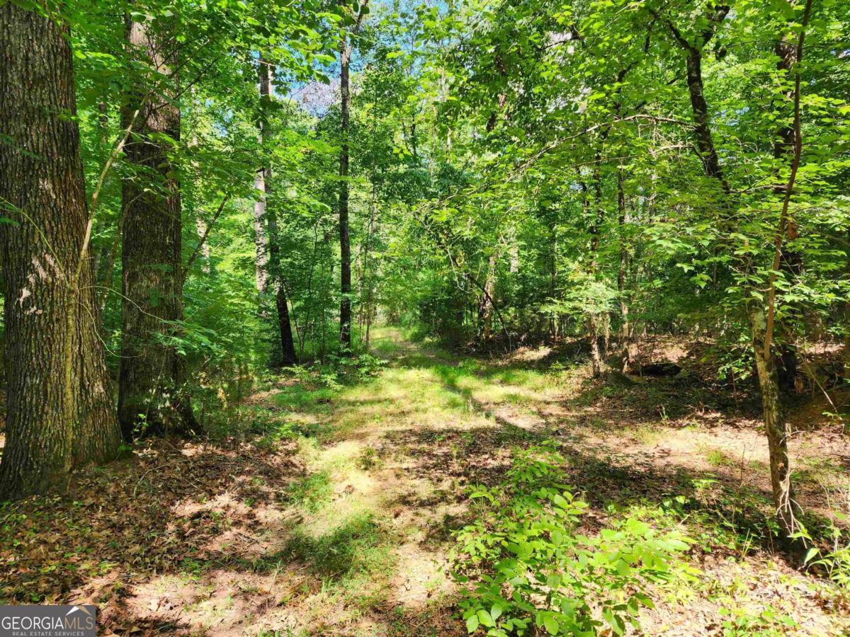 145 South Sugar Creek Road Eatonton, GA 31024 - Photo 6 of 12 a backyard of a house with lots of green space
