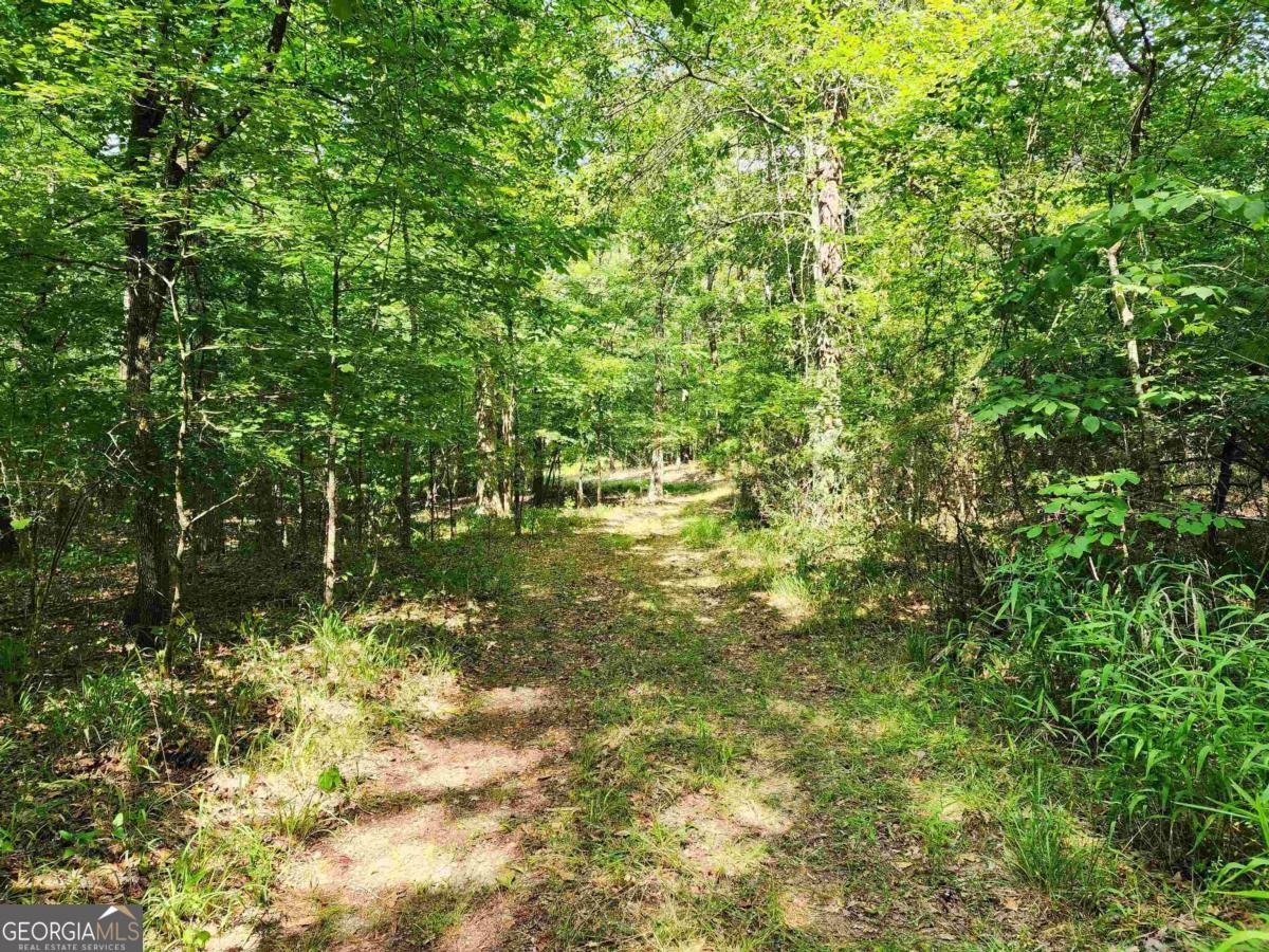 145 South Sugar Creek Road Eatonton, GA 31024 - Photo 8 of 12 a view of yard