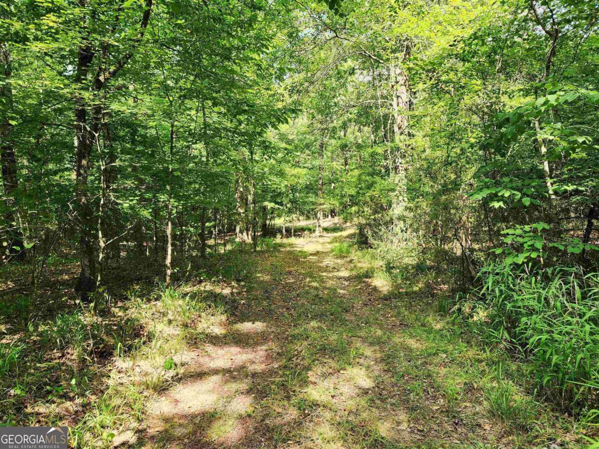 145 South Sugar Creek Road Eatonton, GA 31024 - Photo 10 of 12 a view of outdoor space and a yard