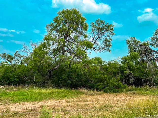 $420,000 | 0 Count Road 5232, Yancey, TX 78850