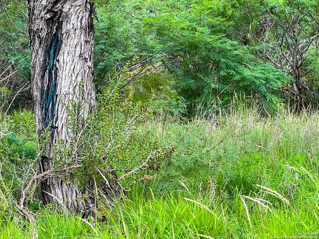 $420,000 | 0 Count Road 5232, Yancey, TX 78850