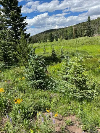 $22,000 | Lot 3091 Sterenson Place, Fort Garland, CO 81133