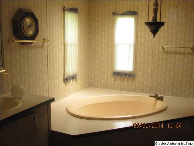 159 Row Road Sylacauga, AL 35151 - Photo 10 of 12