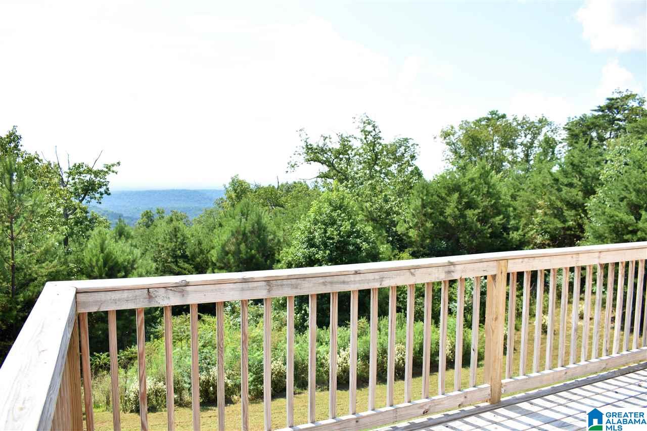 496 Valley View Lane Remlap, AL 35133 - Photo 34 of 41