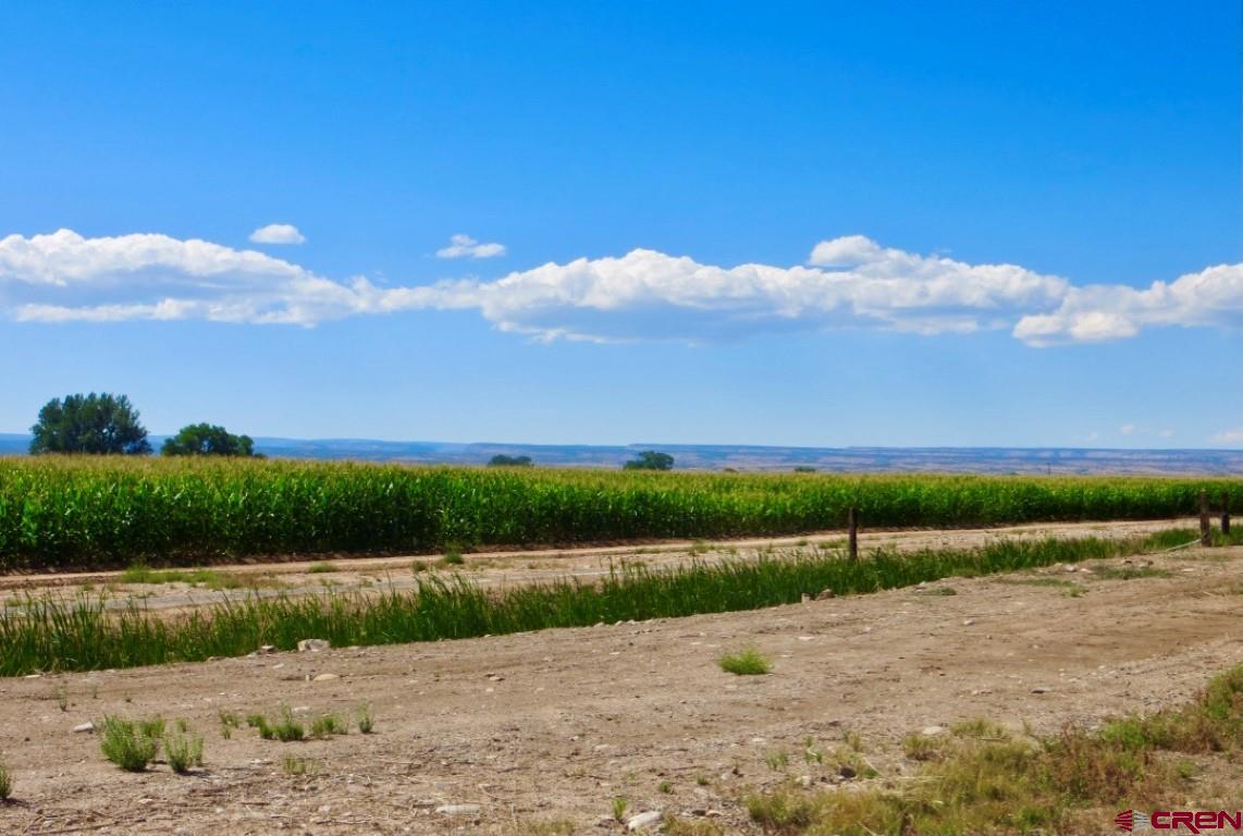 Lot 1 Banner Road Delta, CO 81425 - Photo 8 of 16 a view of a lake
