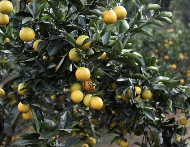 a bathroom with a sink