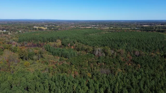 a view of a lush green field