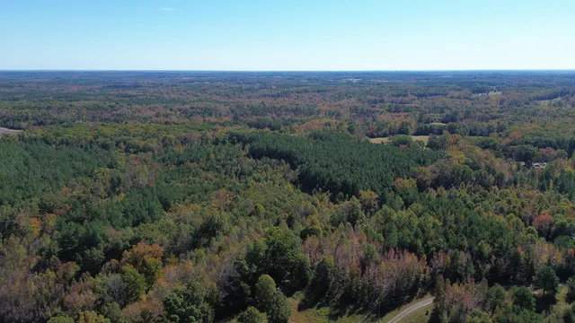 an aerial view of residential house and green space
