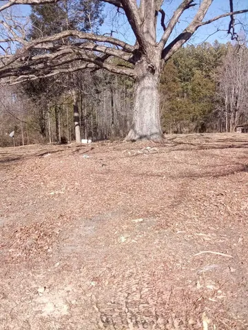 a view of outdoor space with trees