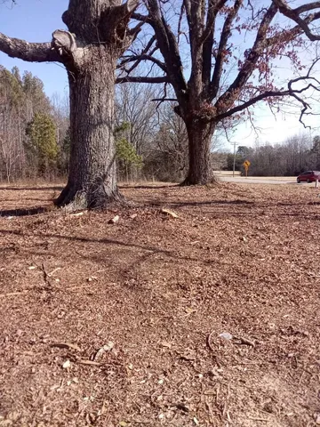 a view of yard covered with trees