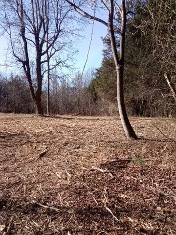 a view of house with a yard