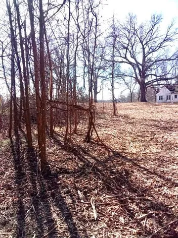 a view of wooden fence and trees