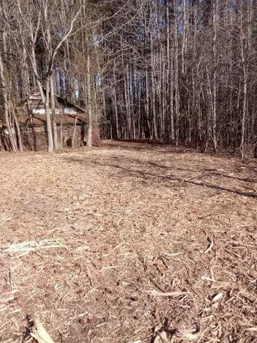 a big yard with trees