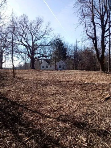 a view of a yard with trees