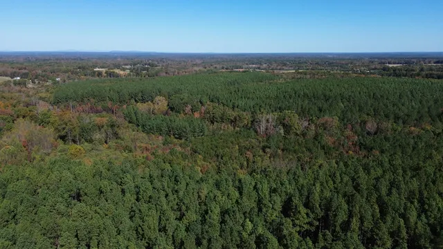 a view of a city with lush green forest