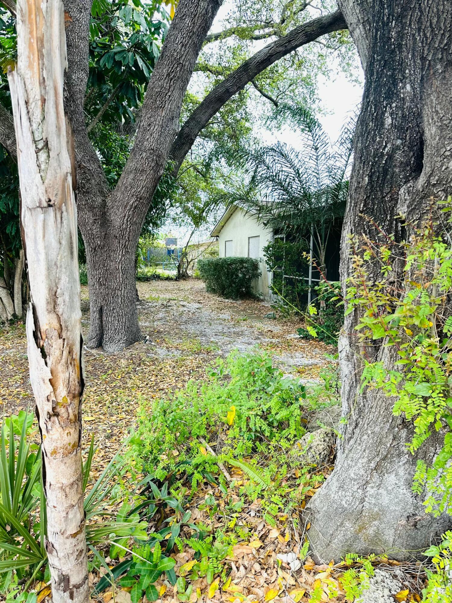 679 Southwest 17th Court Boca Raton, FL 33486 - Photo 4 of 6 Back yard