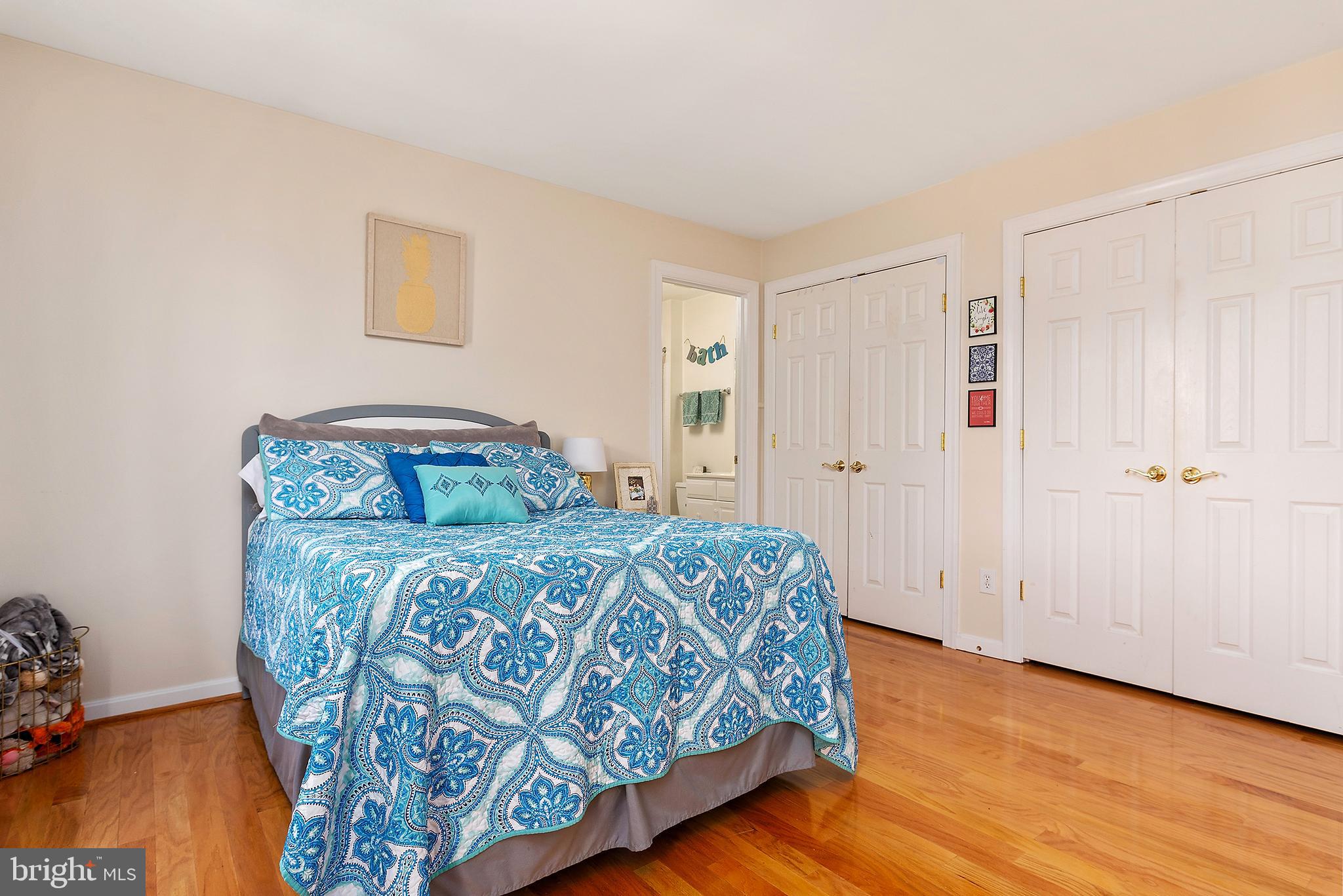 3203 Homewood Road Davidsonville, MD 21035 - Photo 28 of 49 4th Bedroom with dual closets