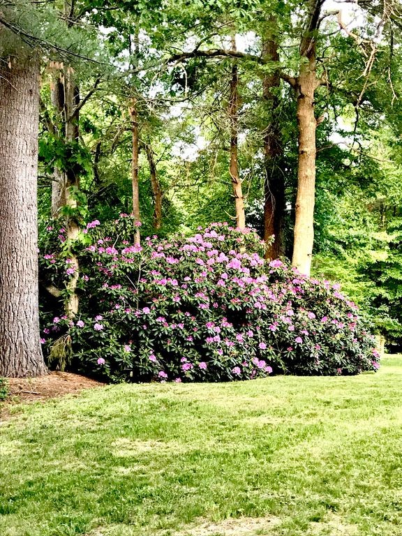 9 Barefoot Hill Road Sharon, MA 02067 - Photo 23 of 24 Gallery Image 23