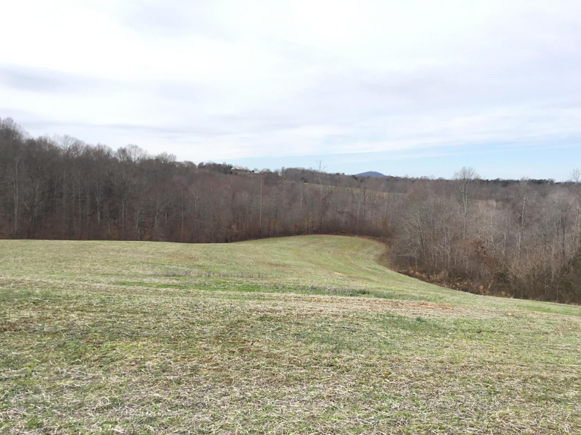 3680 Hickory Nut Road Nancy, KY 42544 - Photo 3 of 5 472B3434-44AB-494A-A4DD-2D15A32863E7<|><