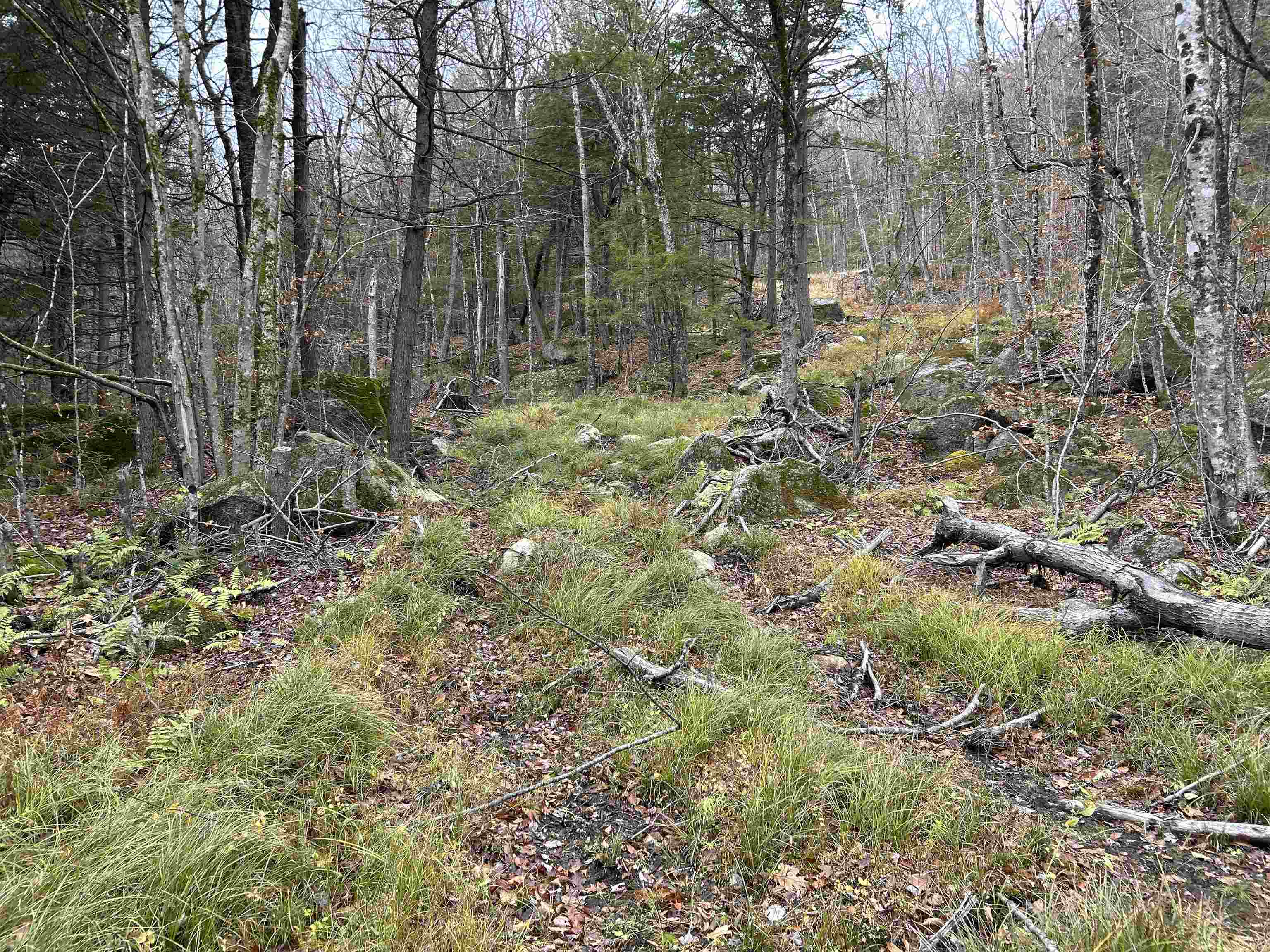 0 Pound Road North North Sutton, NH 03260 - Photo 18 of 51