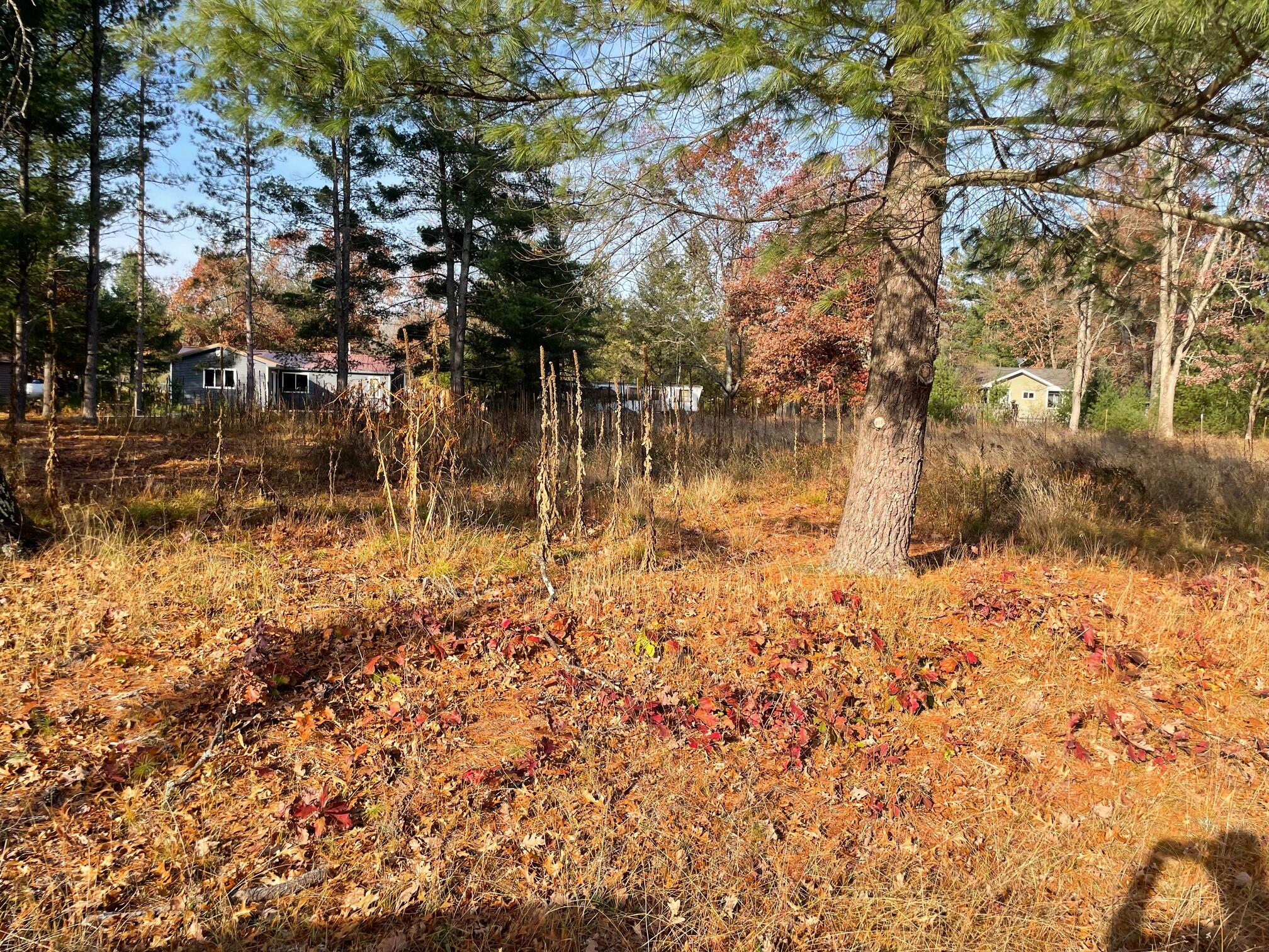 V/l Spring Street Wellston, MI 49689 - Photo 3 of 10 IMG_5849