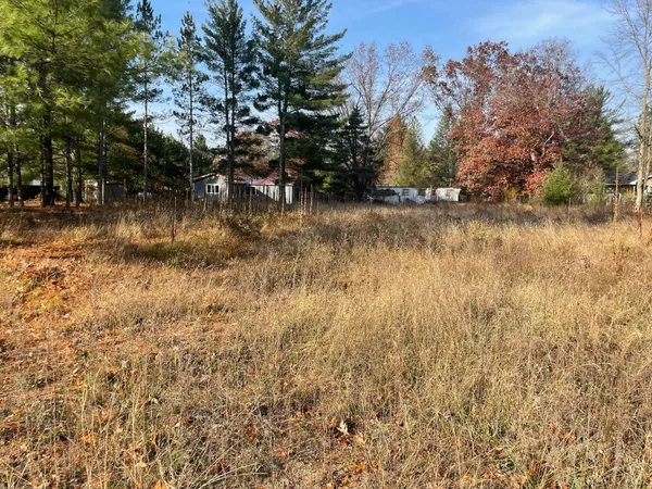 $19,900 | V/l Spring Street, Wellston, MI 49689